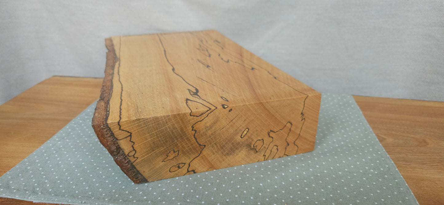 Spalted Beech -B8-103