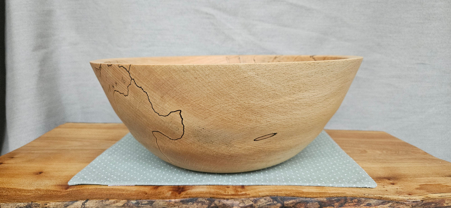 Spalted Beech B1-105