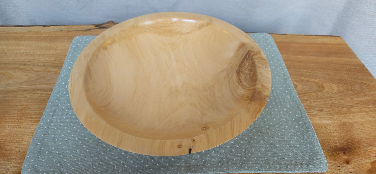 Horse Chestnut- B3-101