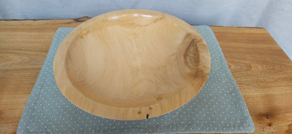 Horse Chestnut- B3-101