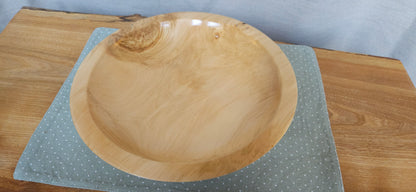 Horse Chestnut- B3-101