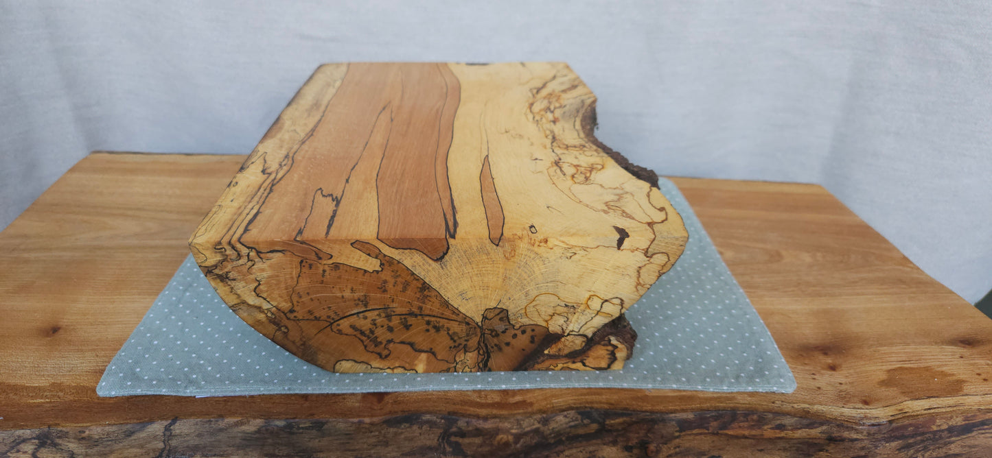 Spalted Beech B3-102