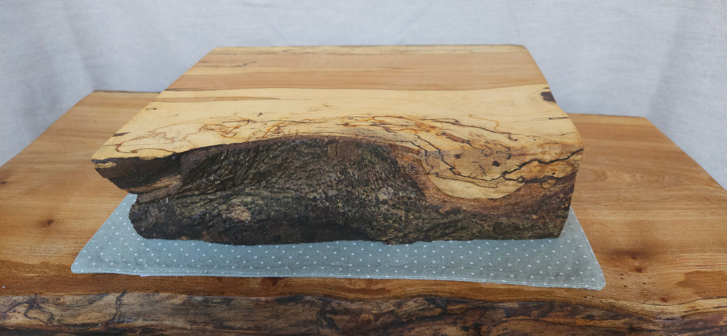 Spalted Beech B3-102
