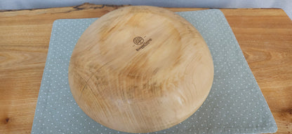 Horse Chestnut B3-104