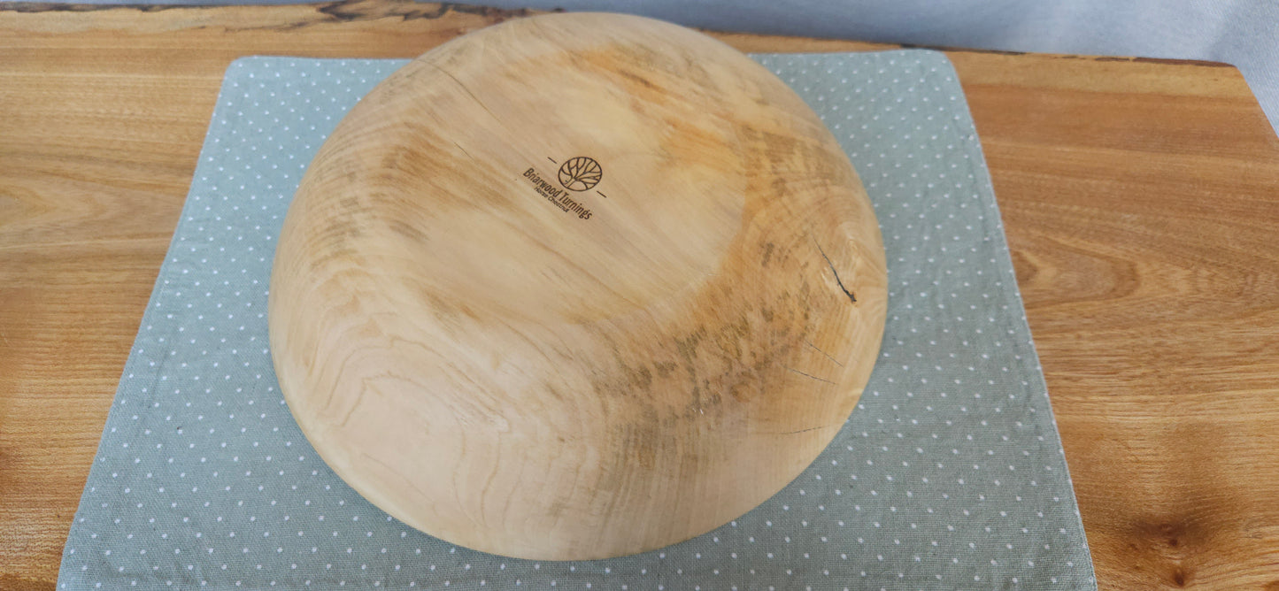 Horse Chestnut B3-104