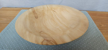 Horse Chestnut B4-105