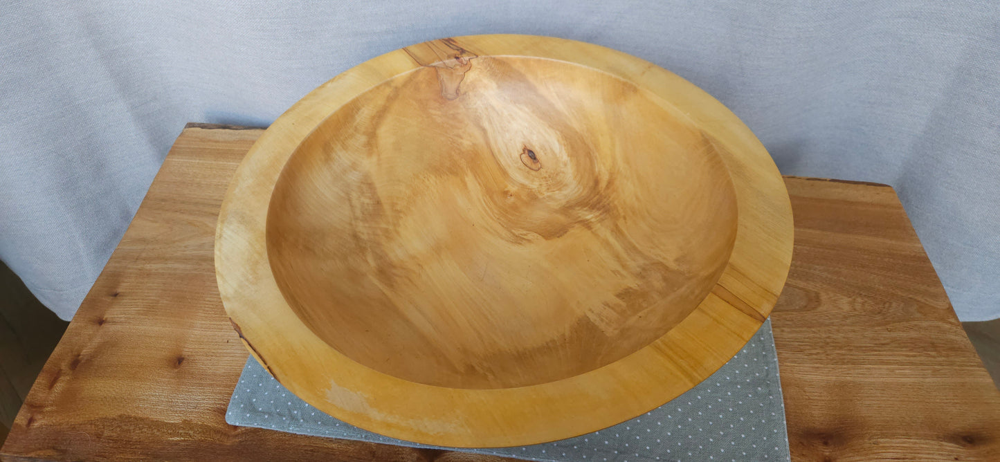 Horse chestnut B4-109