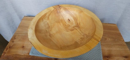 Horse chestnut B4-109