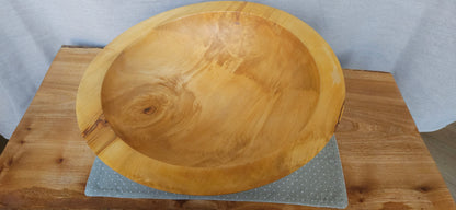 Horse chestnut B4-109