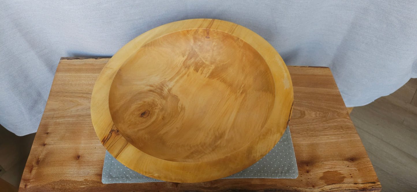 Horse chestnut B4-109