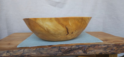 Horse chestnut B4-109