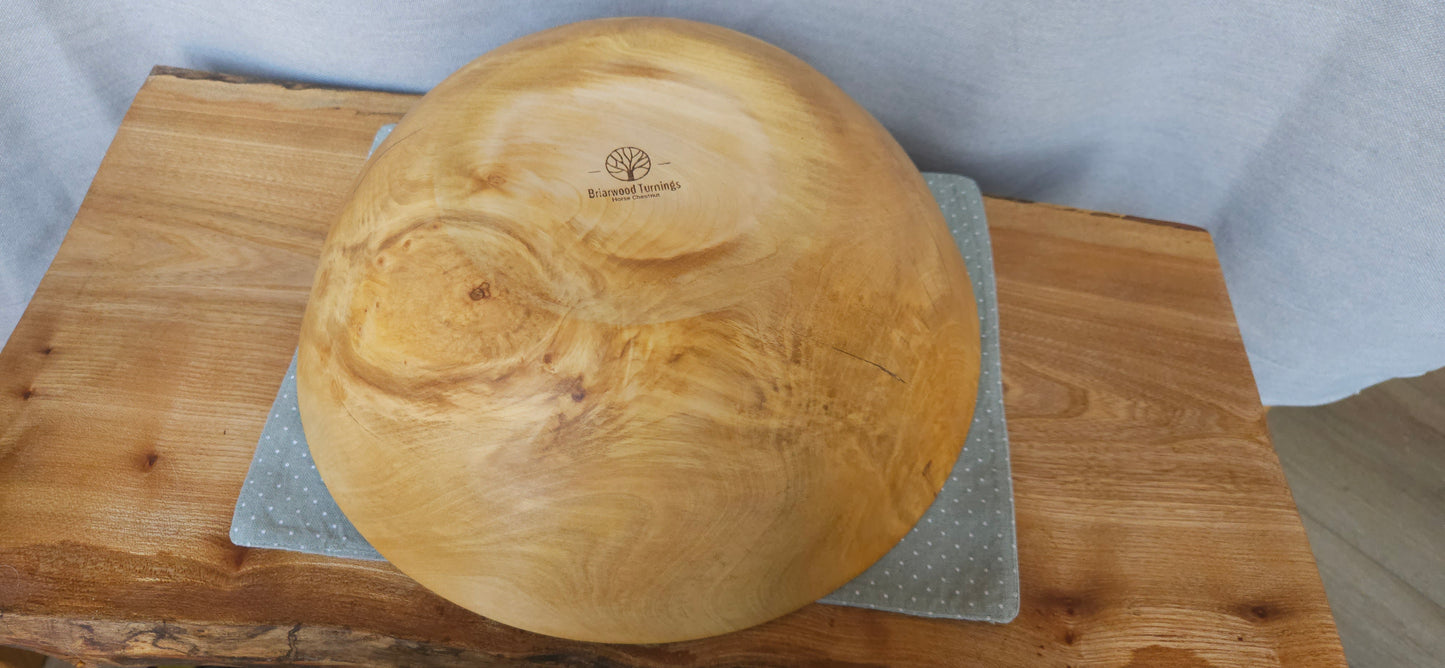 Horse chestnut B4-109