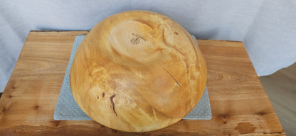 Horse chestnut B4-109