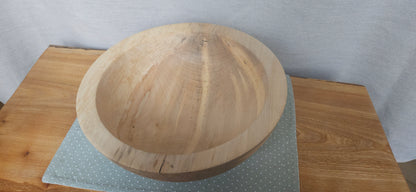 Spalted Sycamore  B7-101