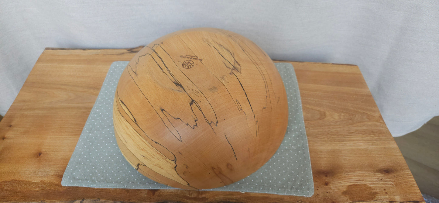 Spalted beech B7-102