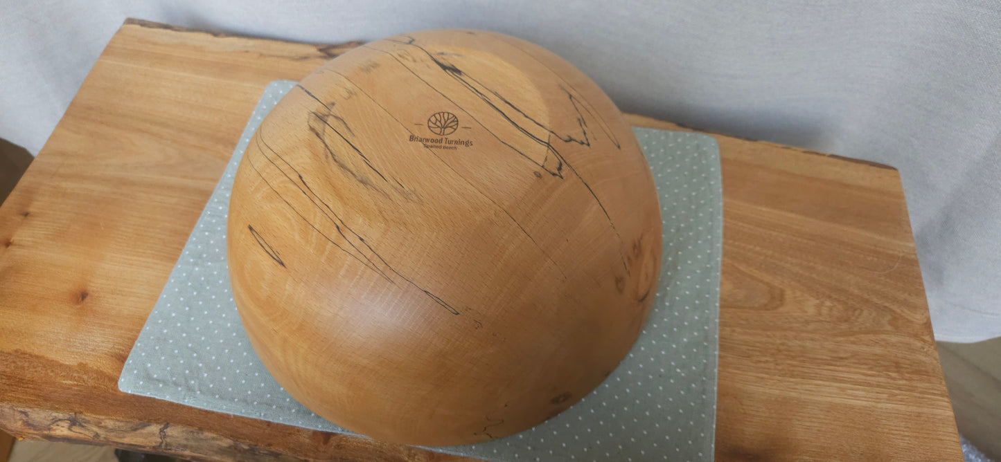 Spalted beech B7-102