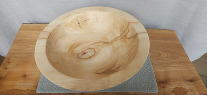 Horse Chestnut B7-104