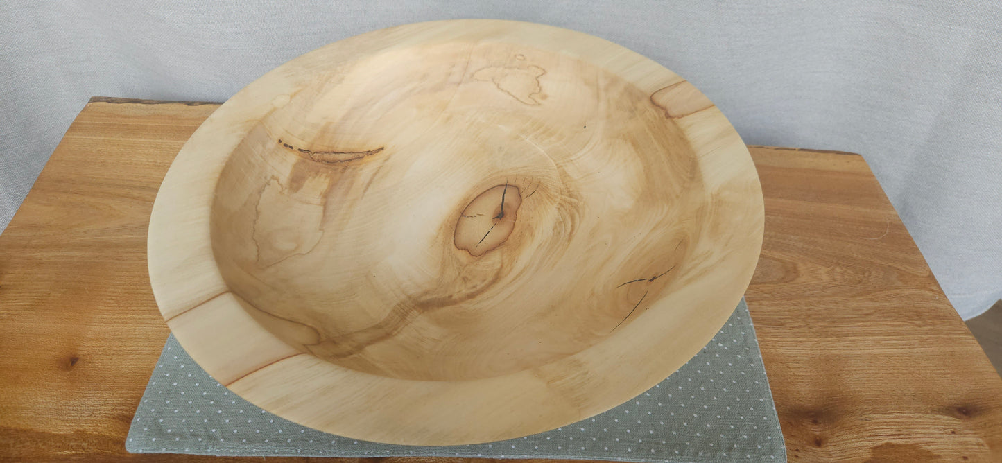Horse Chestnut B7-104