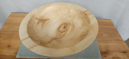 Horse Chestnut B7-104