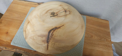 Horse Chestnut B7-104