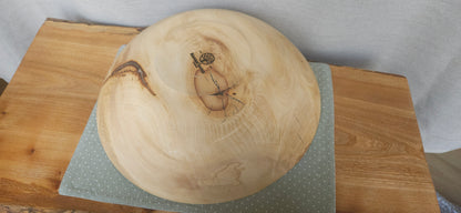 Horse Chestnut B7-104