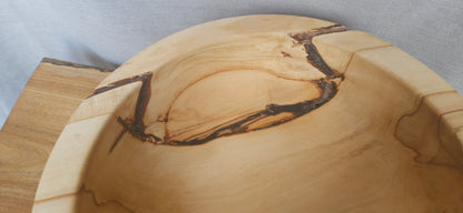 Horse Chestnut B7-105