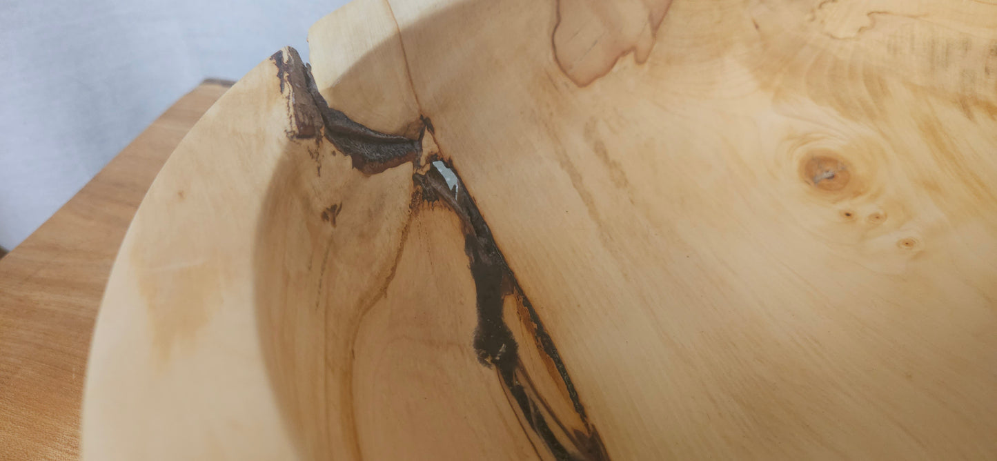 Horse Chestnut B7-105