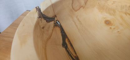 Horse Chestnut B7-105