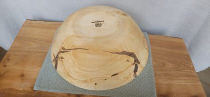 Horse Chestnut B7-105