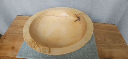 Horse Chestnut B8-102