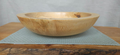 Horse Chestnut B8-102