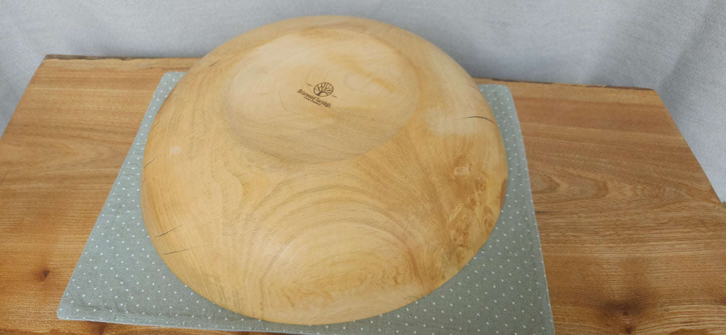 Horse Chestnut B8-102