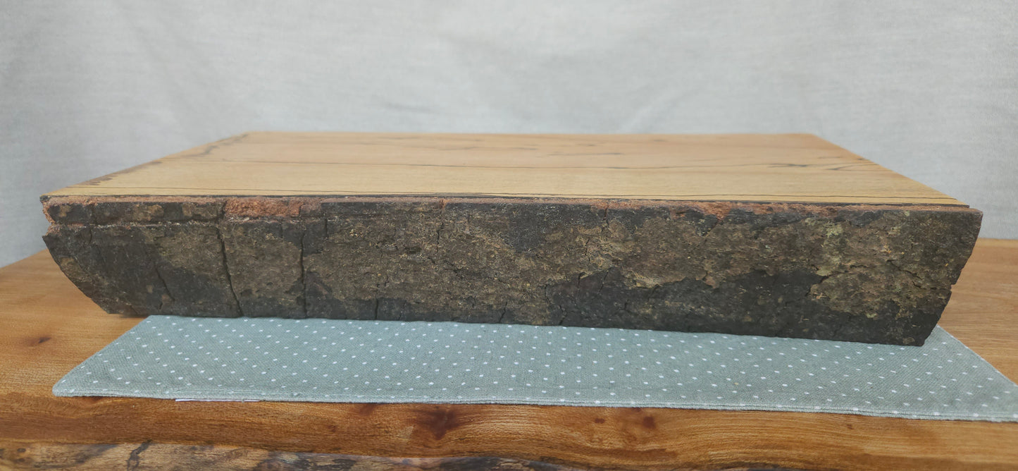 Spalted Beech -B8-103