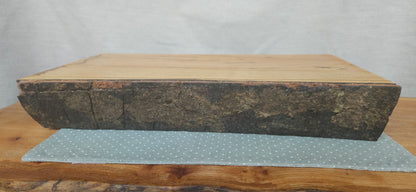 Spalted Beech -B8-103