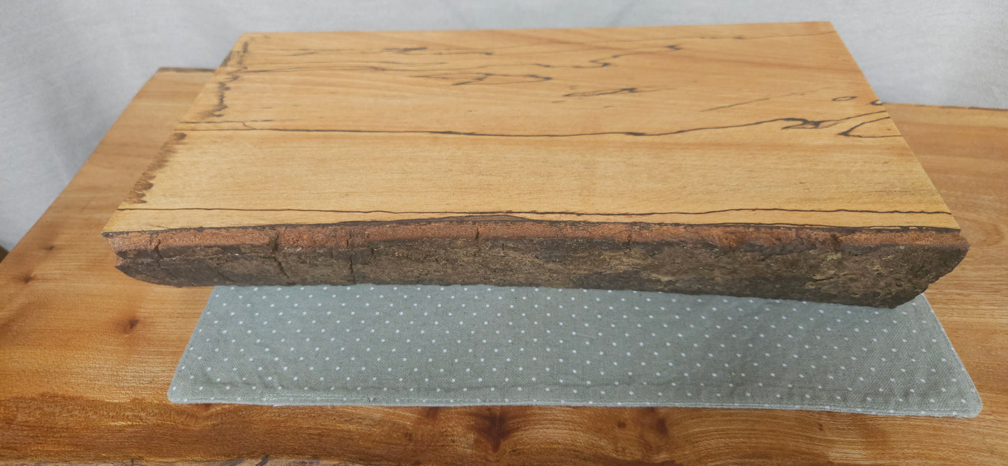 Spalted Beech -B8-103