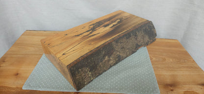 Spalted Beech -B8-103