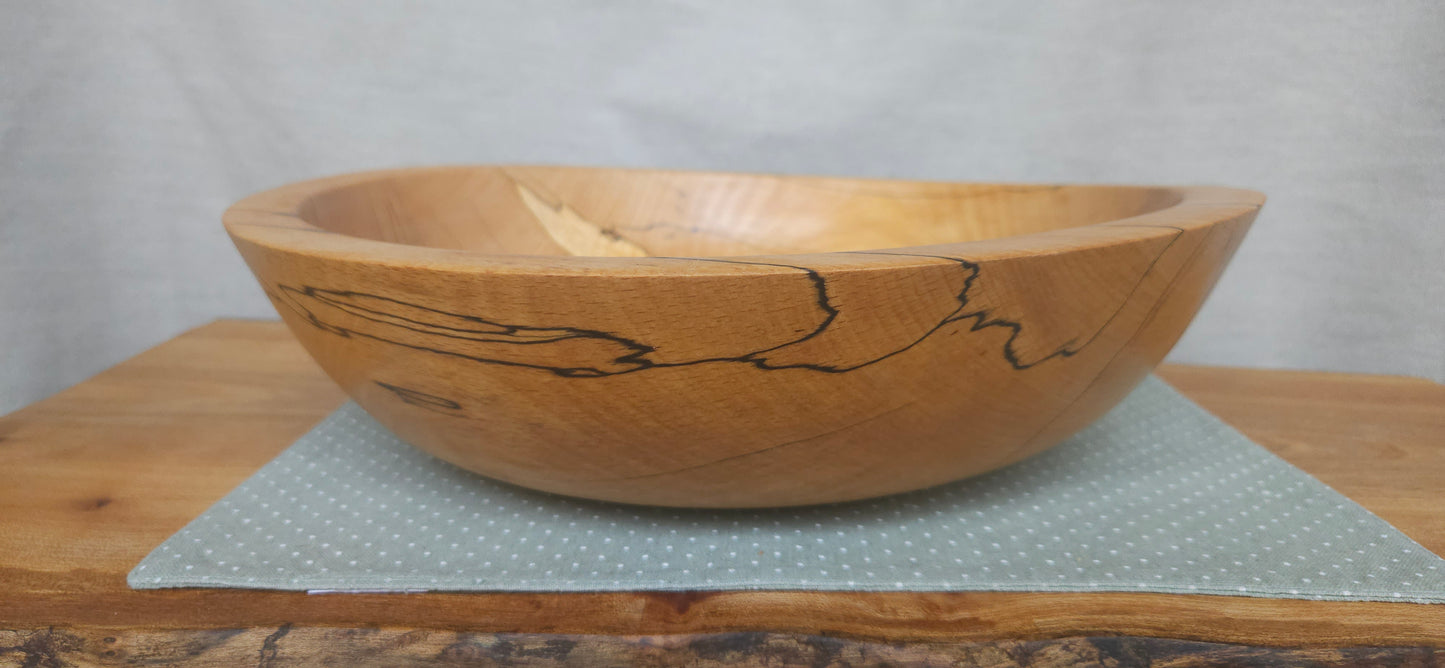 Spalted Beech B8-104