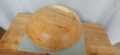 Spalted Beech B8-104
